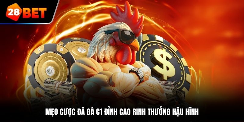 Mẹo cược đá gà C1 đỉnh cao rinh thưởng hậu hĩnh
